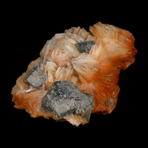 2.3" Sparkly Orange Barite Blades, Cerussite Crystals, Galena Crystal Mineral Morocco - Fossil Age Minerals