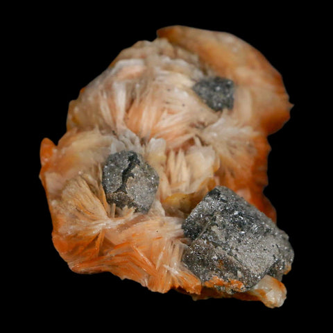 2.3" Sparkly Orange Barite Blades, Cerussite Crystals, Galena Crystal Mineral Morocco - Fossil Age Minerals