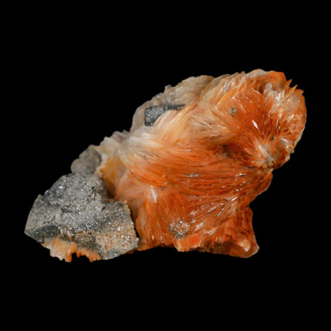 2.3" Sparkly Orange Barite Blades, Cerussite Crystals, Galena Crystal Mineral Morocco - Fossil Age Minerals