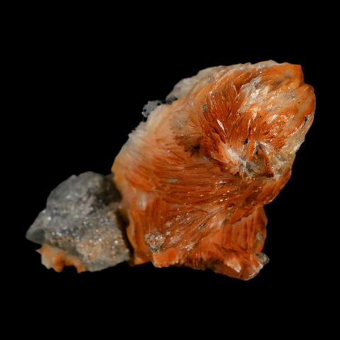 2.3" Sparkly Orange Barite Blades, Cerussite Crystals, Galena Crystal Mineral Morocco - Fossil Age Minerals