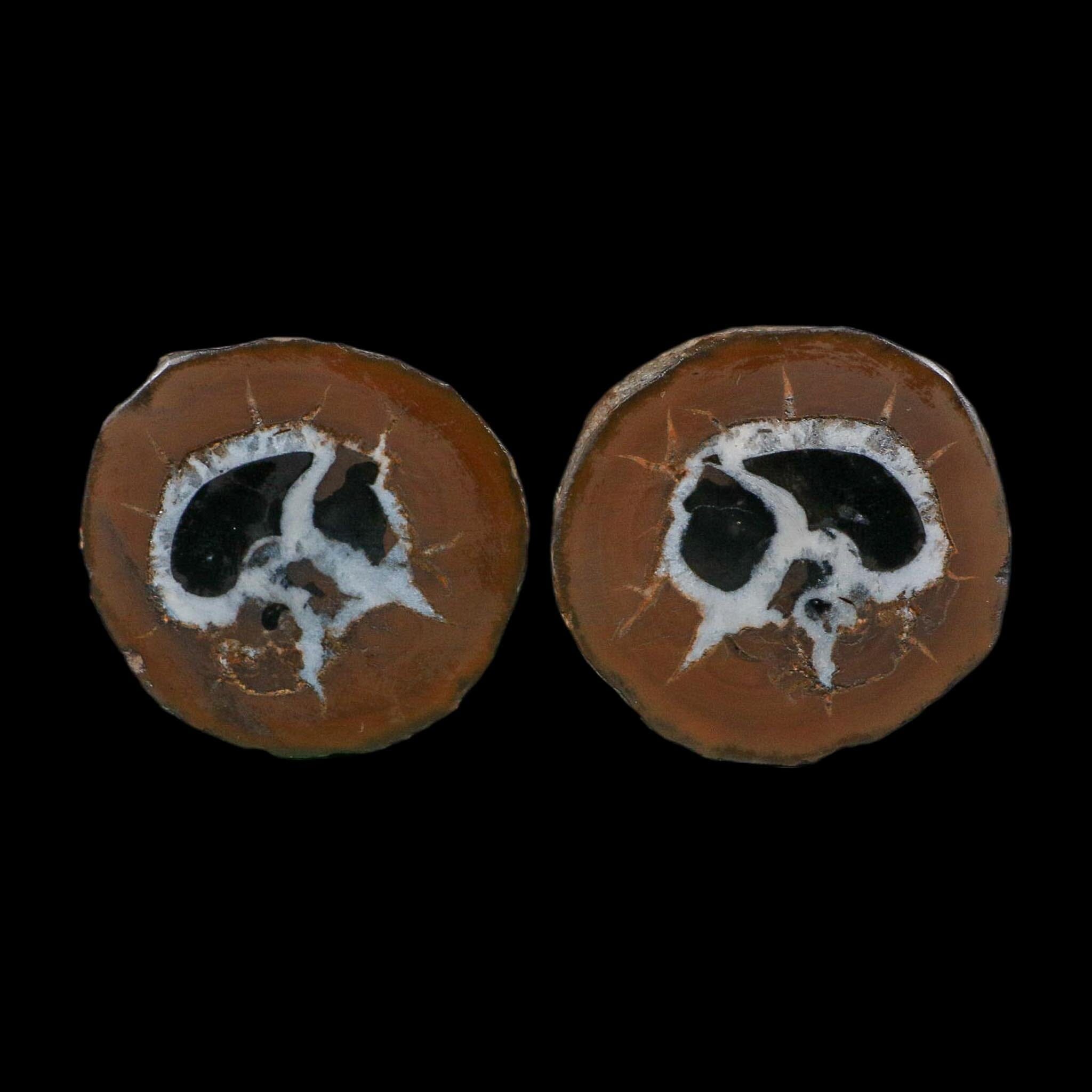 1.8" Septarian Dragon Stone Polished Halves Nodule Mineral Specimen Morocco - Fossil Age Minerals