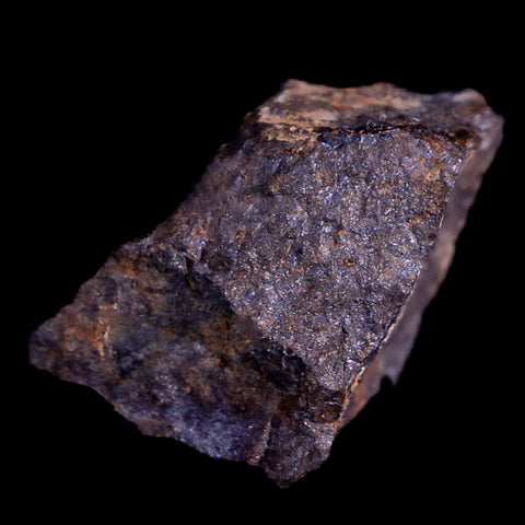 Morocco Sahara Meteorite Specimen Riker Display Meteorites 15.8 Grams - Fossil Age Minerals