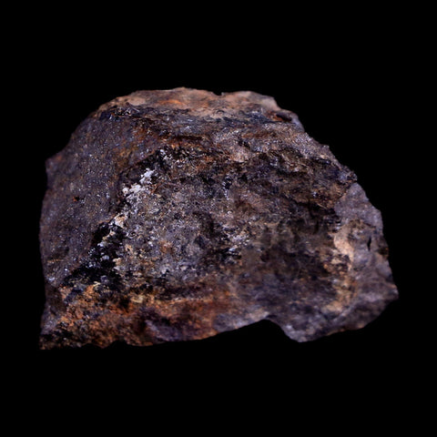 Morocco Sahara Meteorite Specimen Riker Display Meteorites 15.8 Grams - Fossil Age Minerals