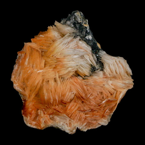 1.8" Sparkly Orange Barite Blades, Cerussite Crystals, Galena Crystal Mineral Morocco - Fossil Age Minerals