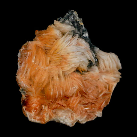 1.8" Sparkly Orange Barite Blades, Cerussite Crystals, Galena Crystal Mineral Morocco - Fossil Age Minerals