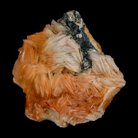 1.8" Sparkly Orange Barite Blades, Cerussite Crystals, Galena Crystal Mineral Morocco - Fossil Age Minerals