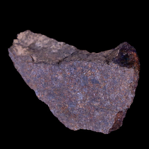 Sayh Al Uhaymir Meteorite Specimen Riker Display Al Wusta, Oman Meteorites 7.7 Grams - Fossil Age Minerals