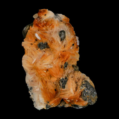 2" Sparkly Orange Barite Blades, Cerussite Crystals, Galena Crystal Mineral Morocco - Fossil Age Minerals