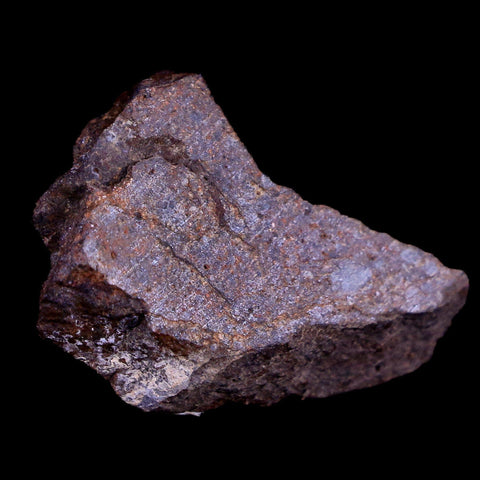 Sayh Al Uhaymir Meteorite Specimen Riker Display Al Wusta, Oman Meteorites 7.7 Grams - Fossil Age Minerals