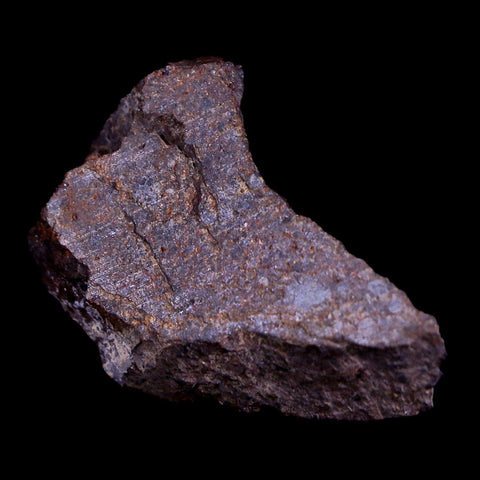 Sayh Al Uhaymir Meteorite Specimen Riker Display Al Wusta, Oman Meteorites 7.7 Grams - Fossil Age Minerals