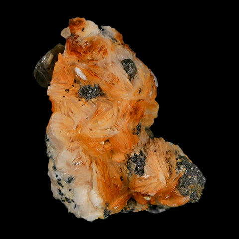 2" Sparkly Orange Barite Blades, Cerussite Crystals, Galena Crystal Mineral Morocco - Fossil Age Minerals