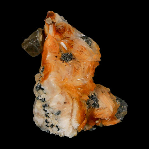 2" Sparkly Orange Barite Blades, Cerussite Crystals, Galena Crystal Mineral Morocco - Fossil Age Minerals