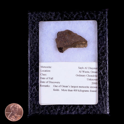 Sayh Al Uhaymir Meteorite Specimen Riker Display Al Wusta, Oman Meteorites 7.7 Grams - Fossil Age Minerals