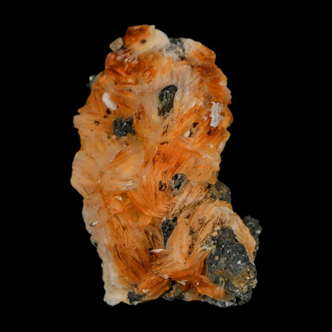 2" Sparkly Orange Barite Blades, Cerussite Crystals, Galena Crystal Mineral Morocco - Fossil Age Minerals