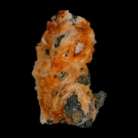 2" Sparkly Orange Barite Blades, Cerussite Crystals, Galena Crystal Mineral Morocco - Fossil Age Minerals