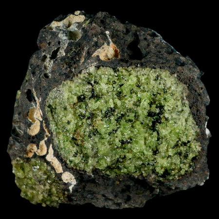 XL 3.5" Natural Emerald Peridot Crystal Minerals On Volcanic Rock Gila, Arizona