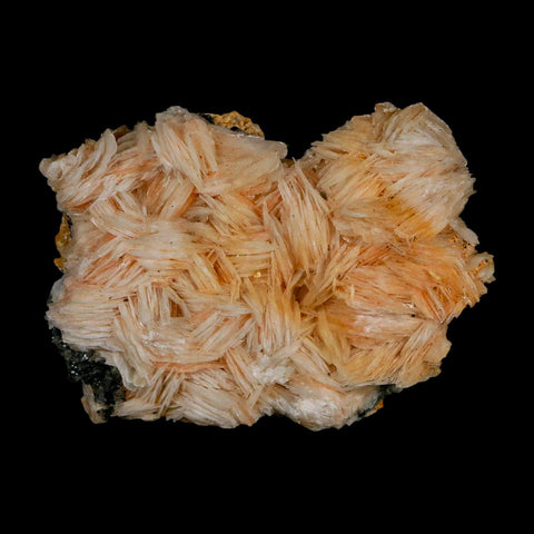 2.4" Sparkly Orange Barite Blades, Galena Crystal Minerals Mabladen Morocco - Fossil Age Minerals
