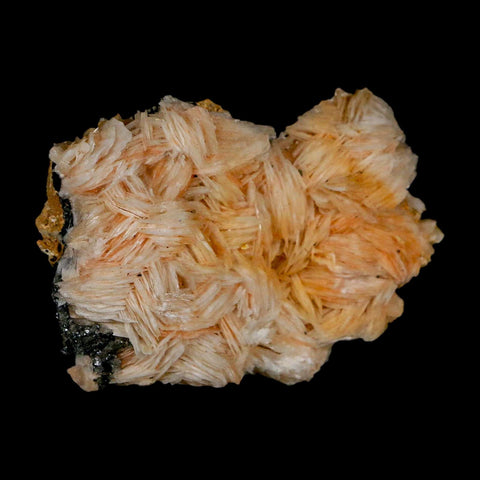 2.4" Sparkly Orange Barite Blades, Galena Crystal Minerals Mabladen Morocco - Fossil Age Minerals