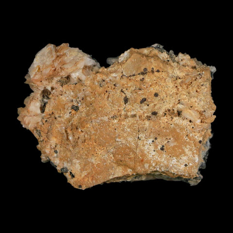 2.4" Sparkly Orange Barite Blades, Galena Crystal Minerals Mabladen Morocco - Fossil Age Minerals