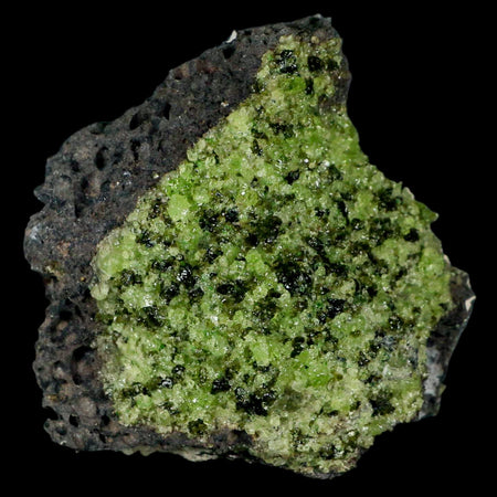 XL 3.3" Natural Emerald Peridot Crystal Minerals On Volcanic Rock Gila, Arizona