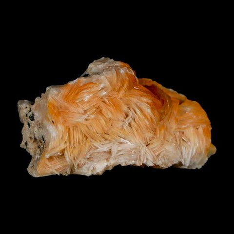2" Sparkly Orange Barite Blades, Galena Crystal Minerals Mabladen Morocco - Fossil Age Minerals