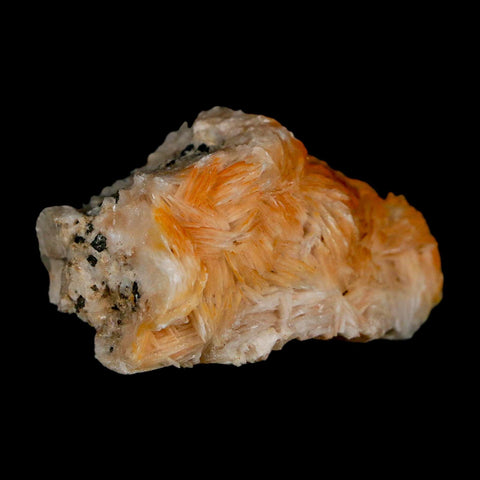 2" Sparkly Orange Barite Blades, Galena Crystal Minerals Mabladen Morocco - Fossil Age Minerals