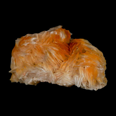 2" Sparkly Orange Barite Blades, Galena Crystal Minerals Mabladen Morocco - Fossil Age Minerals