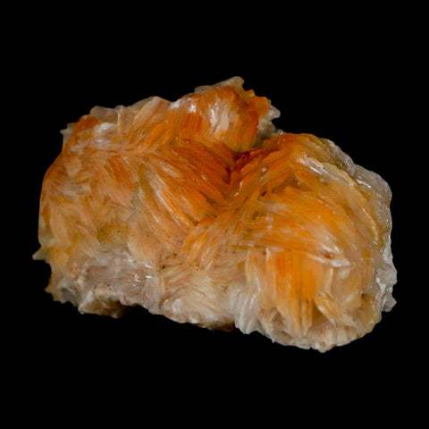 2" Sparkly Orange Barite Blades, Galena Crystal Minerals Mabladen Morocco - Fossil Age Minerals