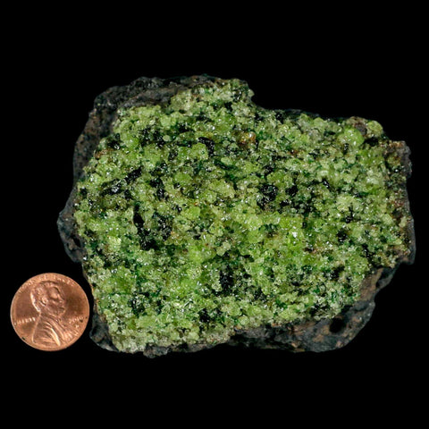 XL 3.3" Natural Emerald Peridot Crystal Minerals On Volcanic Rock Gila, Arizona - Fossil Age Minerals