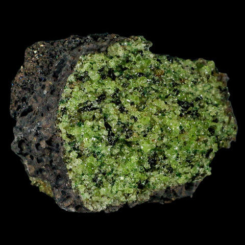 XL 3.3" Natural Emerald Peridot Crystal Minerals On Volcanic Rock Gila, Arizona - Fossil Age Minerals