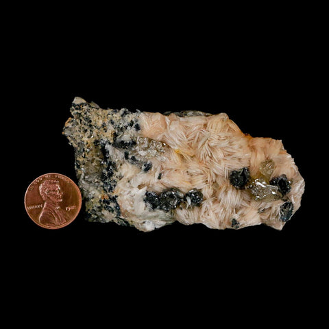 3.3" Sparkly White Barite Blades, Cerussite Crystals, Galena Crystal Mineral Morocco - Fossil Age Minerals
