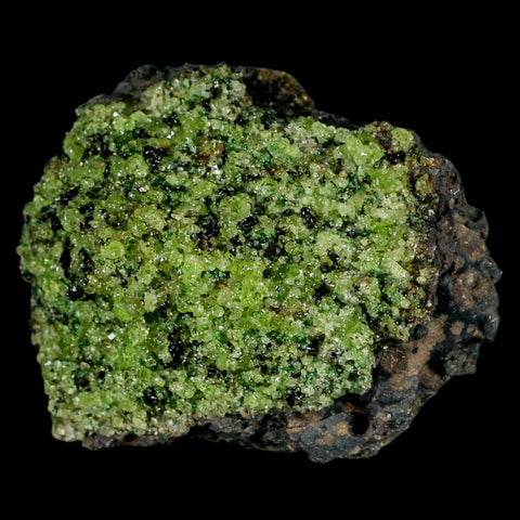 XL 3.3" Natural Emerald Peridot Crystal Minerals On Volcanic Rock Gila, Arizona - Fossil Age Minerals