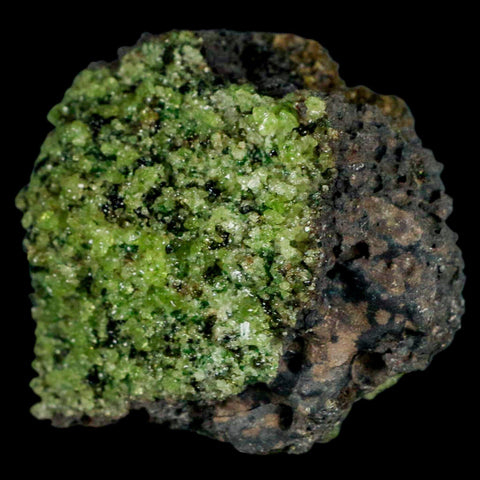 XL 3.3" Natural Emerald Peridot Crystal Minerals On Volcanic Rock Gila, Arizona - Fossil Age Minerals