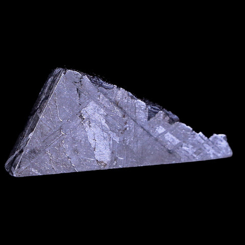 Muonionalusta Meteorite Specimen Riker Display Sweden Meteorites 7.9 Grams - Fossil Age Minerals