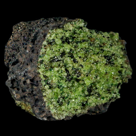 XL 3.3" Natural Emerald Peridot Crystal Minerals On Volcanic Rock Gila, Arizona - Fossil Age Minerals