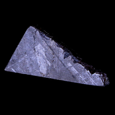 Muonionalusta Meteorite Specimen Riker Display Sweden Meteorites 7.9 Grams - Fossil Age Minerals