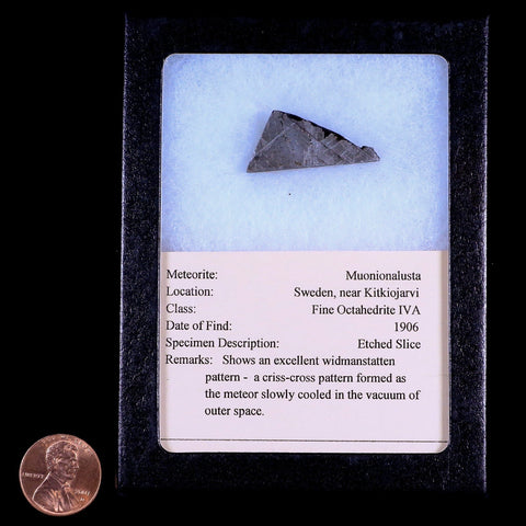 Muonionalusta Meteorite Specimen Riker Display Sweden Meteorites 7.9 Grams - Fossil Age Minerals