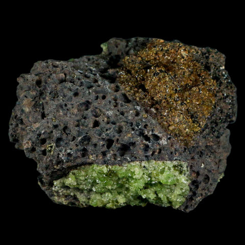 XL 3.3" Natural Emerald Peridot Crystal Minerals On Volcanic Rock Gila, Arizona - Fossil Age Minerals