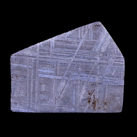Muonionalusta Meteorite Specimen Riker Display Sweden Meteorites 9 Grams - Fossil Age Minerals