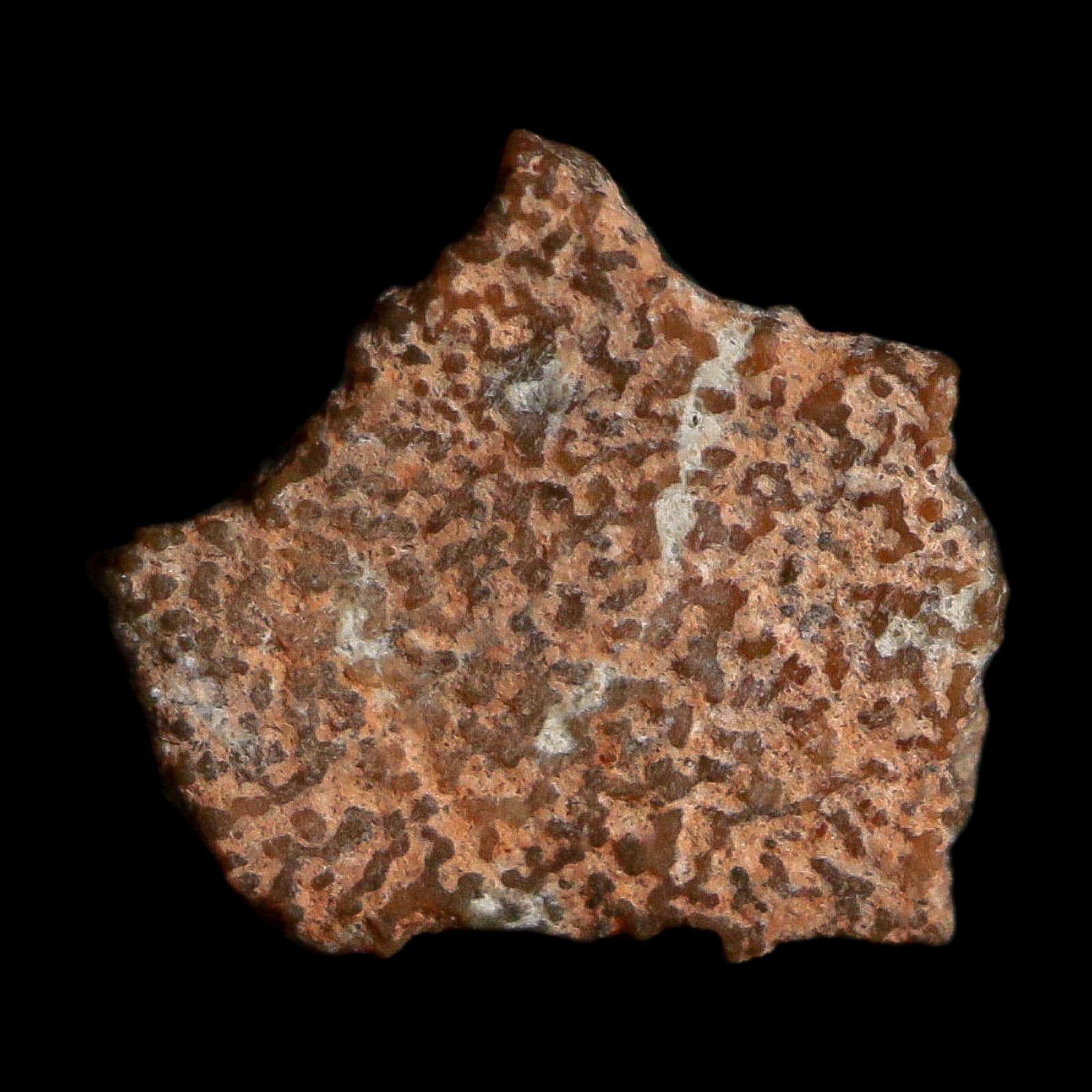 0.4" Megaloolithus Titanosaur Dinosaur Fossil Egg Shell Bouches Du Rhone France Display - Fossil Age Minerals