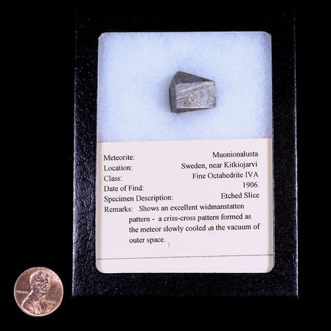 Muonionalusta Meteorite Specimen Riker Display Sweden Meteorites 9 Grams - Fossil Age Minerals