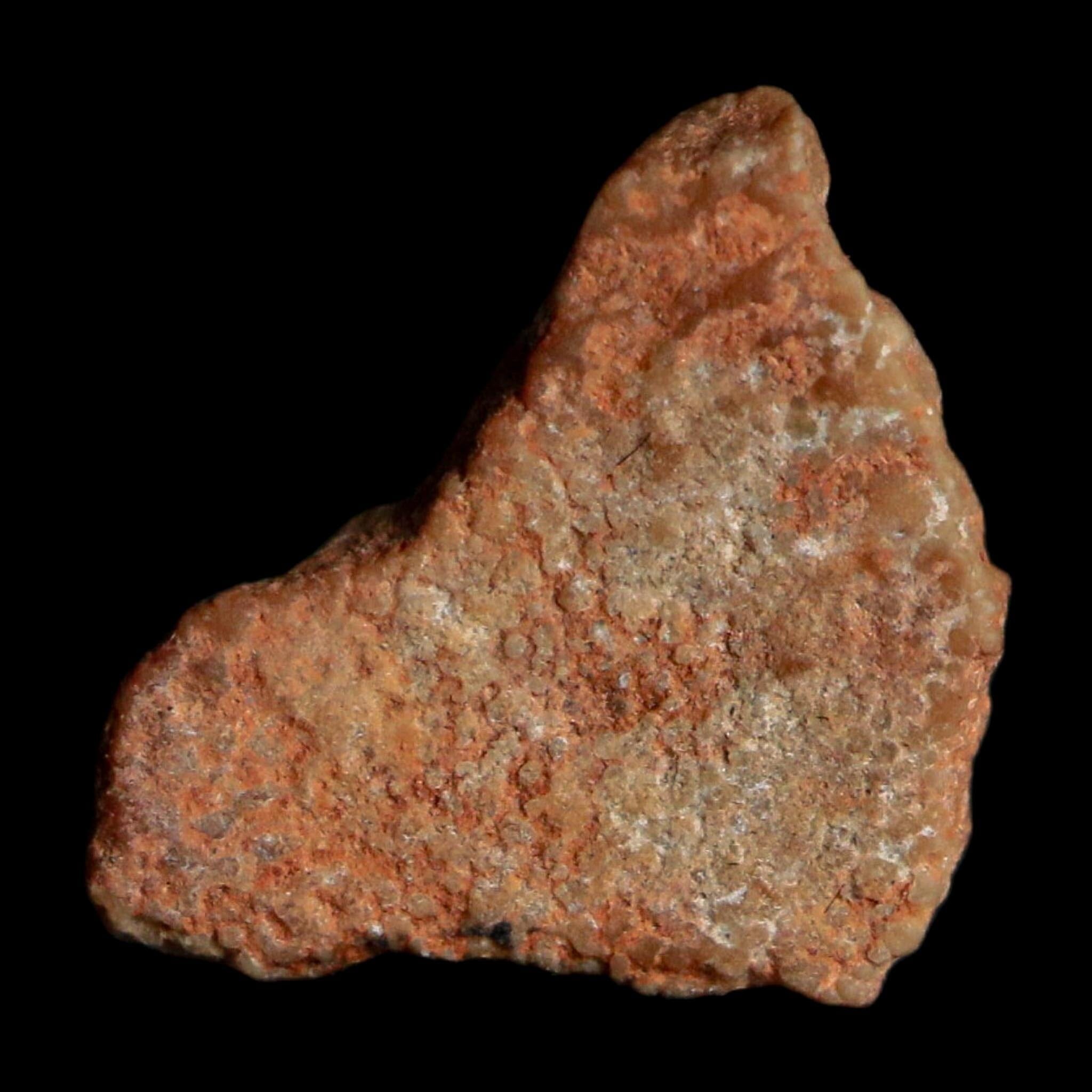 0.4" Megaloolithus Titanosaur Dinosaur Fossil Egg Shell Bouches Du Rhone France Display - Fossil Age Minerals