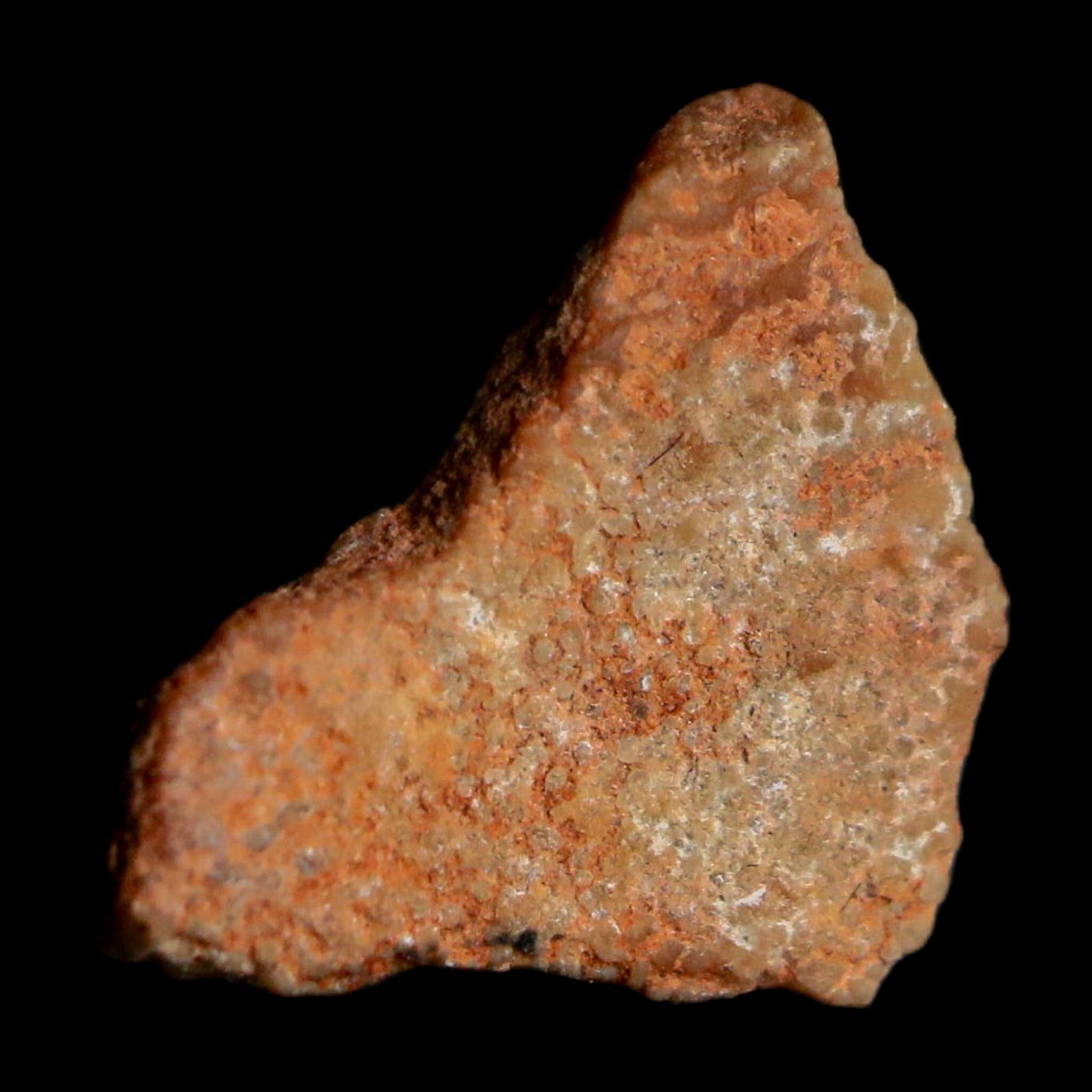 0.4" Megaloolithus Titanosaur Dinosaur Fossil Egg Shell Bouches Du Rhone France Display - Fossil Age Minerals