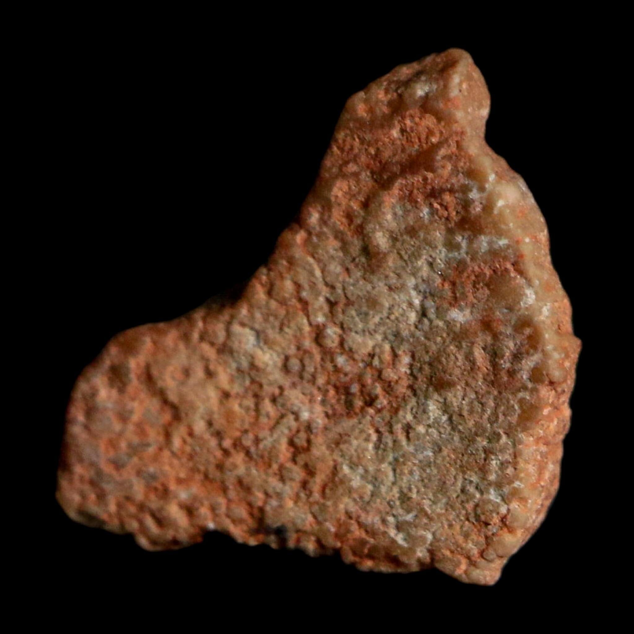 0.4" Megaloolithus Titanosaur Dinosaur Fossil Egg Shell Bouches Du Rhone France Display - Fossil Age Minerals