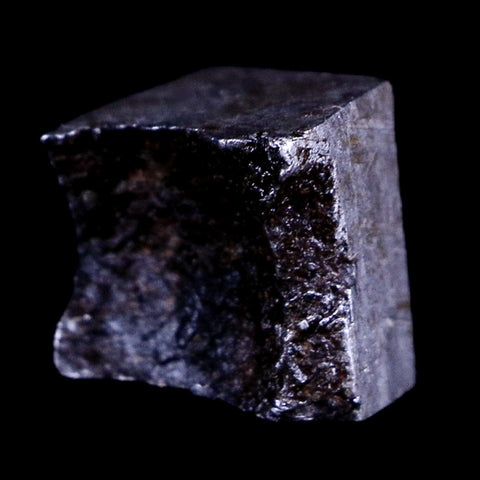 Muonionalusta Meteorite Specimen Riker Display Sweden Meteorites 12 Grams - Fossil Age Minerals