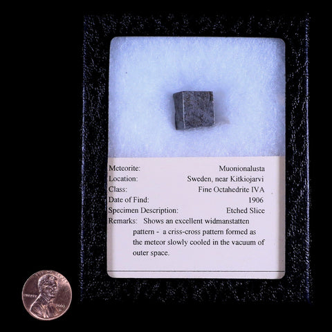 Muonionalusta Meteorite Specimen Riker Display Sweden Meteorites 12 Grams - Fossil Age Minerals