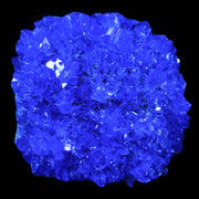 2" Electric Blue Chalcanthite Mineral Crystal Specimen Location Poland Sokolowski