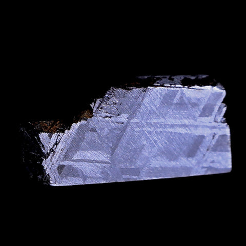 Muonionalusta Meteorite Specimen Riker Display Sweden Meteorites 4.2 Grams - Fossil Age Minerals