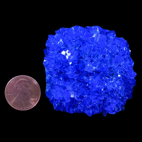 2" Electric Blue Chalcanthite Mineral Crystal Specimen Location Poland Sokolowski - Fossil Age Minerals