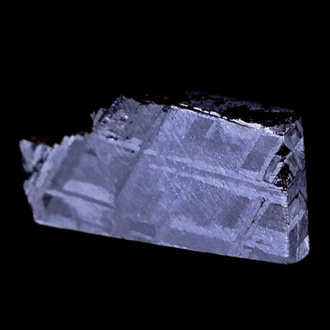 Muonionalusta Meteorite Specimen Riker Display Sweden Meteorites 4.2 Grams - Fossil Age Minerals